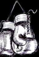 Gants de boxe